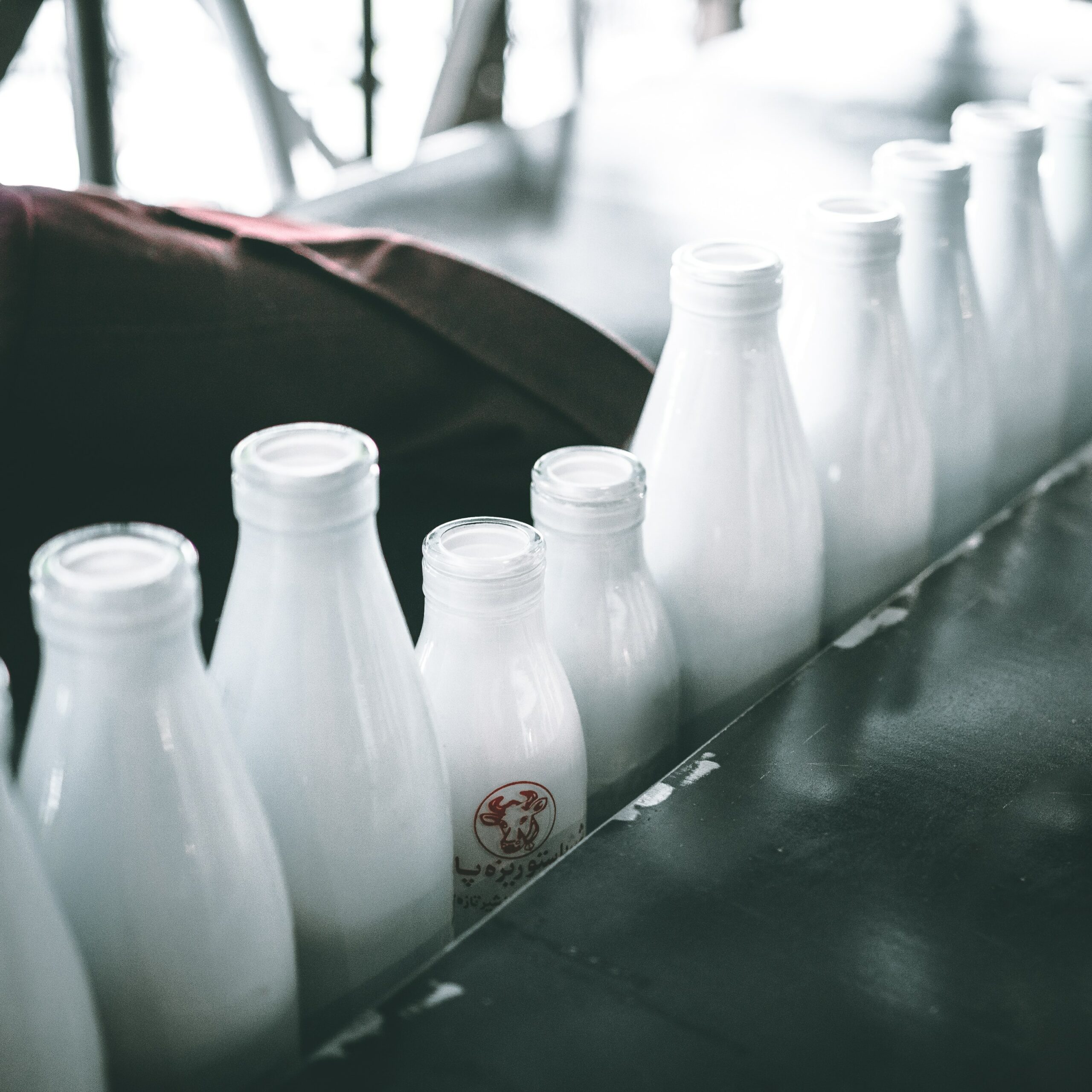 Q-Milk : Des vêtements fabriqués à base de lait périmé